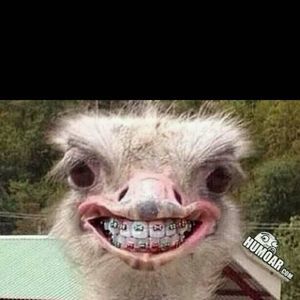 Meet your Posher, Connor